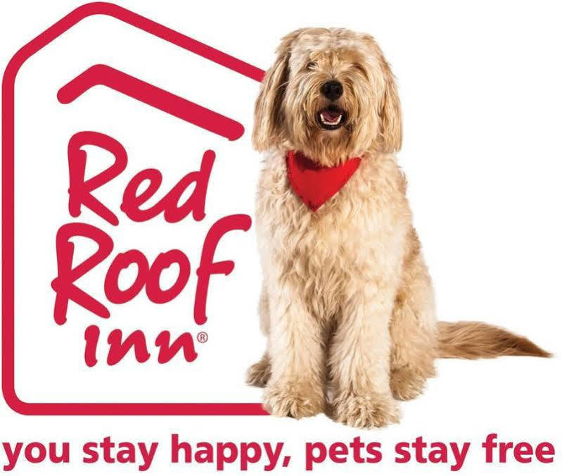 Red Roof Inn Plus+ Columbus-Ohio State University Osu Εξωτερικό φωτογραφία